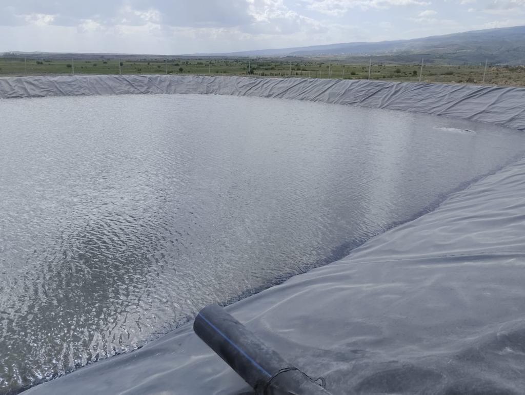 Գեոմեմբրանային ծածկեր