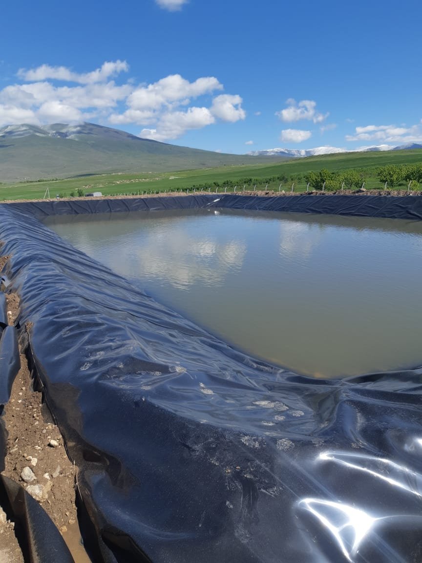 Գեոմեմբրանային ծածկ - Image 4